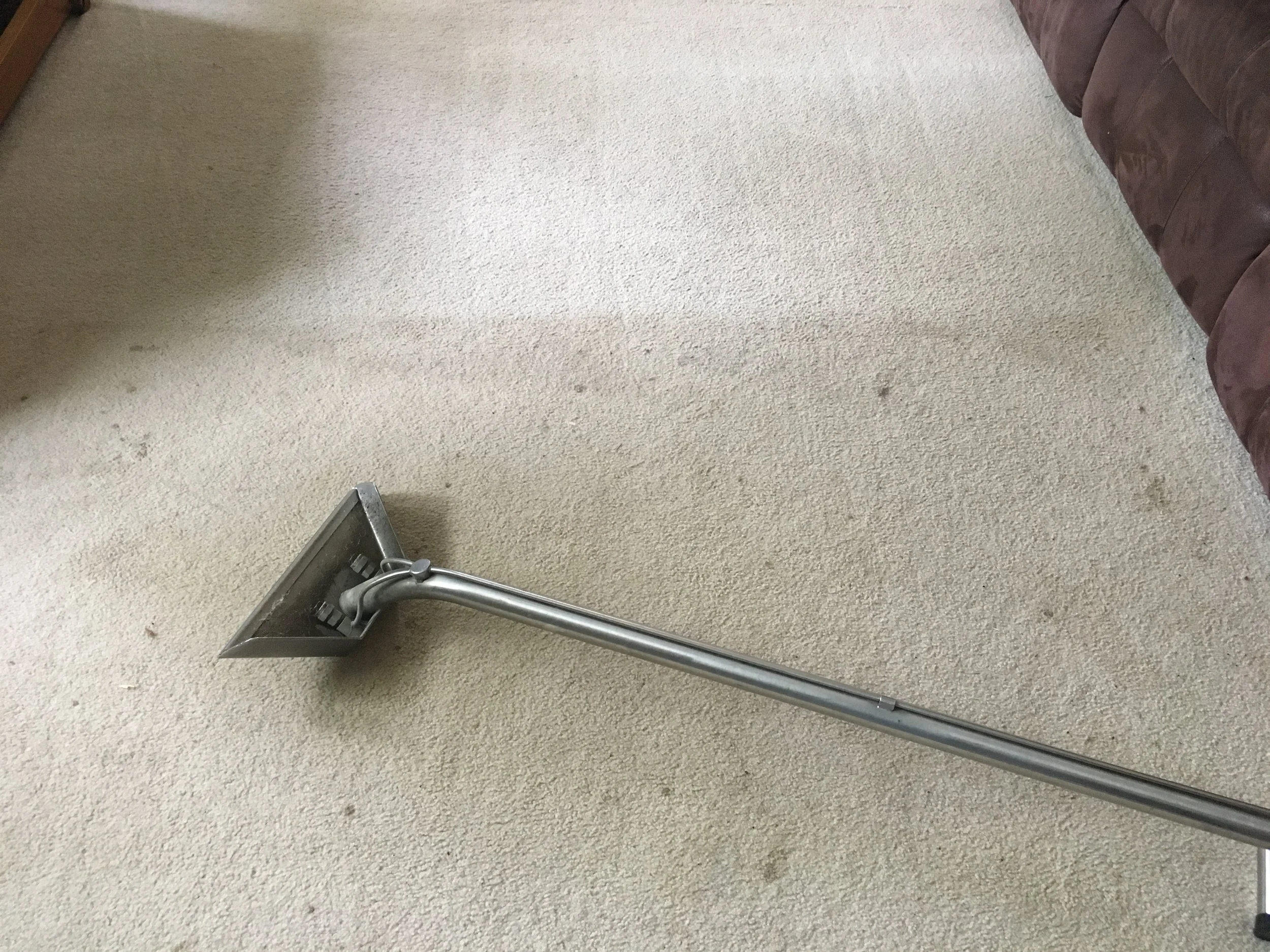 Professional carpet cleaning