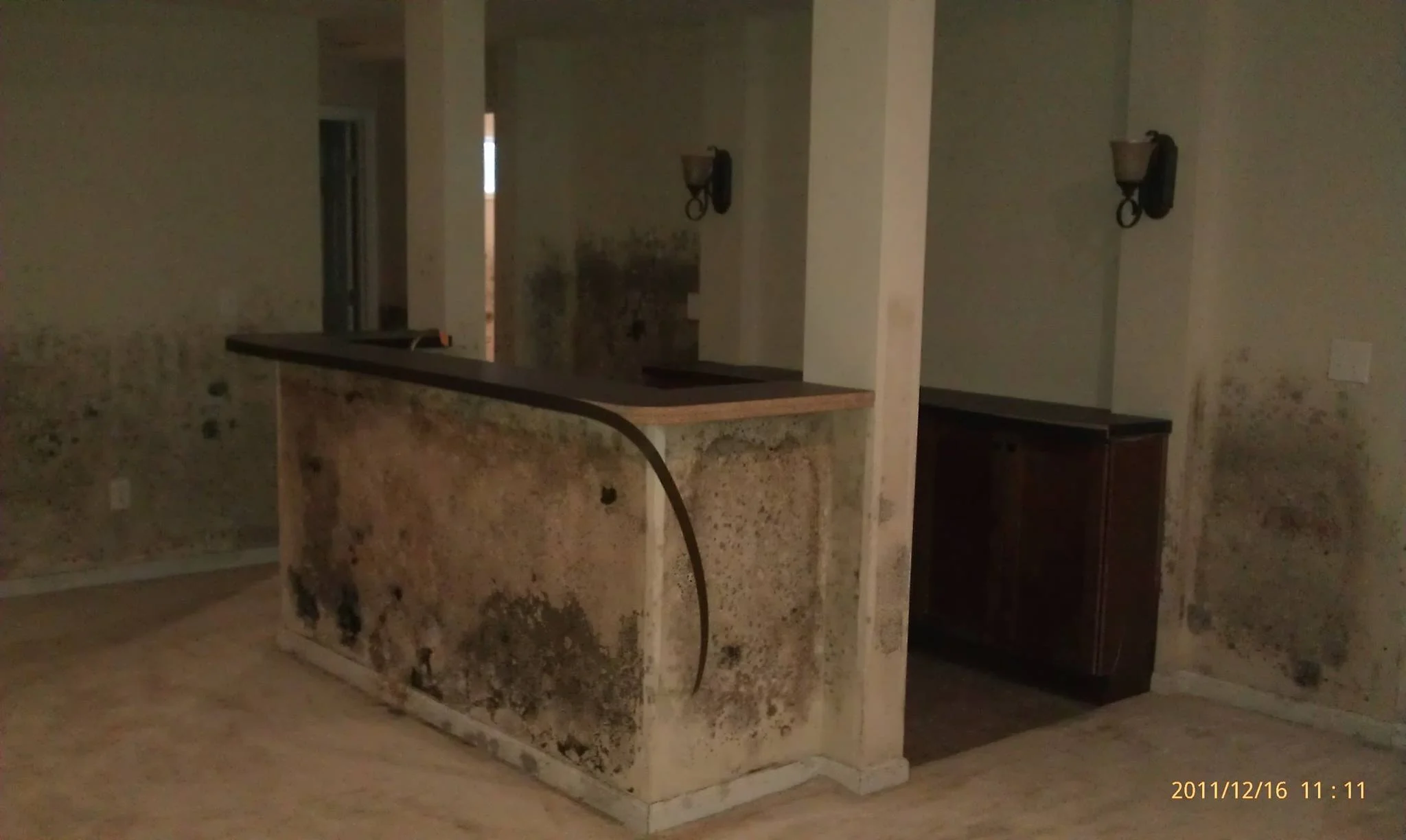 Mold damage in an interior room